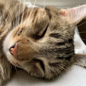 Meet your Posher, Suzanne